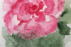 Danielle D.